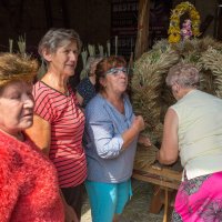 Polski Związek Emerytów, Rencistów i Inwalidów Oddział Rejonowy w Puławach Koło Terenowe nr 3 w Baranowie