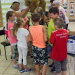 Galeria - 2020 - Warsztaty Wyplatania Wieńców Dożynkowych w Baranowie w ramach projektu dofinansowanego ze środków Narodowego Centrum Kultury - Kultura - Interwencje 2020